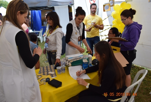 Maio Amarelo