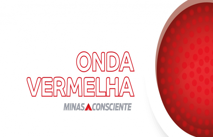Novo Decreto